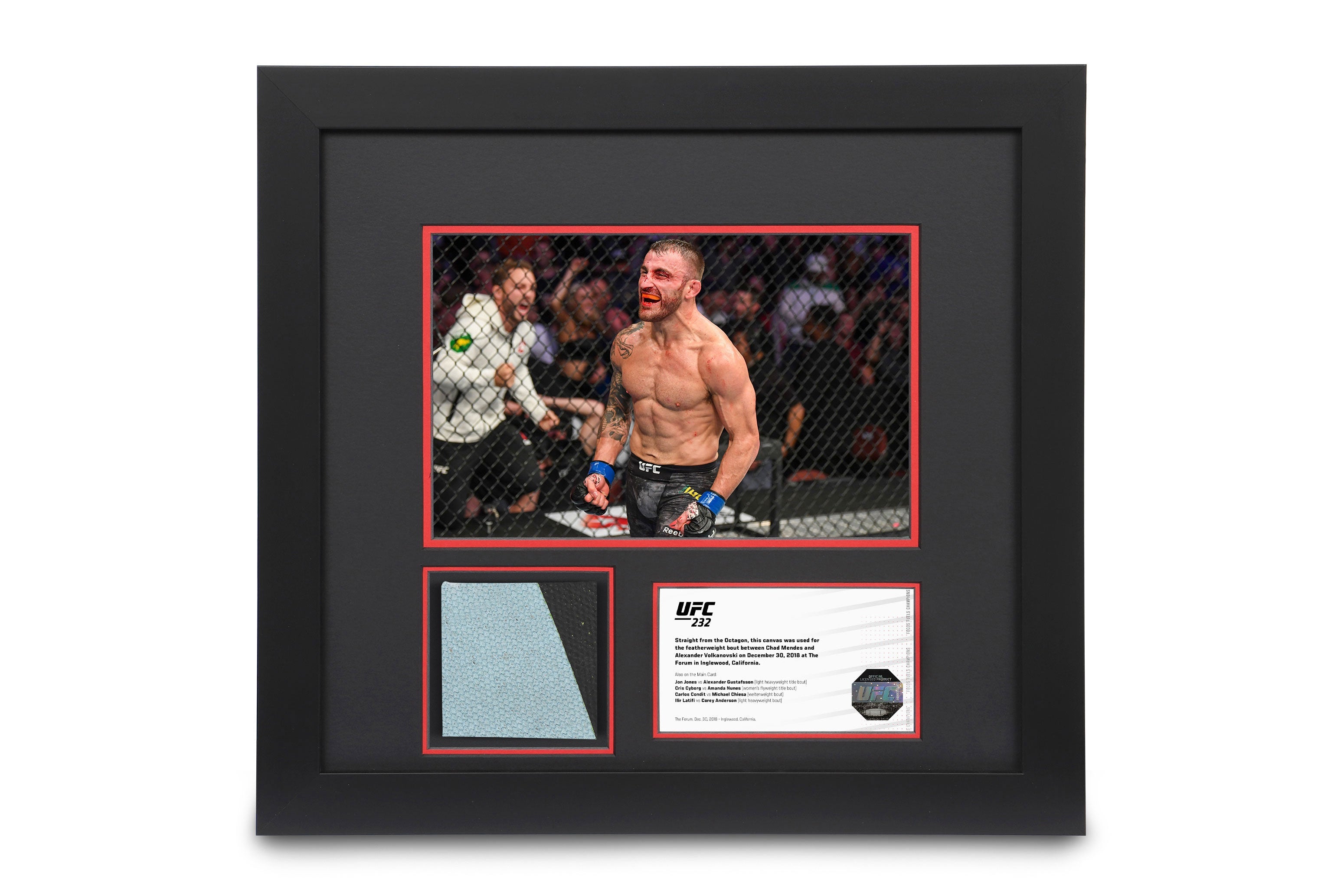 UFC 232: Jones vs Gustafsson 2 Canvas & Photo - Alexander Volkanovski