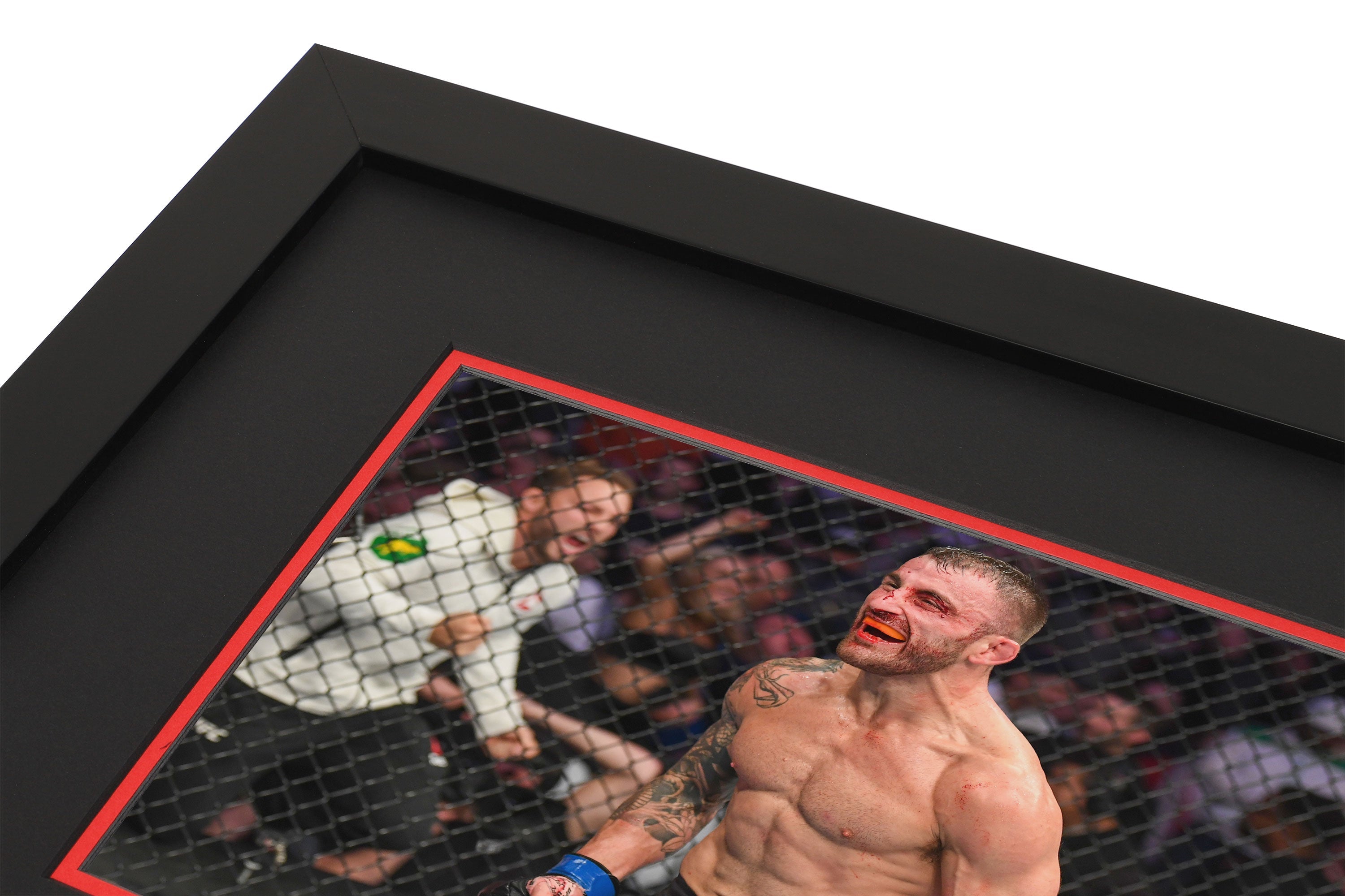 UFC 232: Jones vs Gustafsson 2 Canvas & Photo - Alexander Volkanovski
