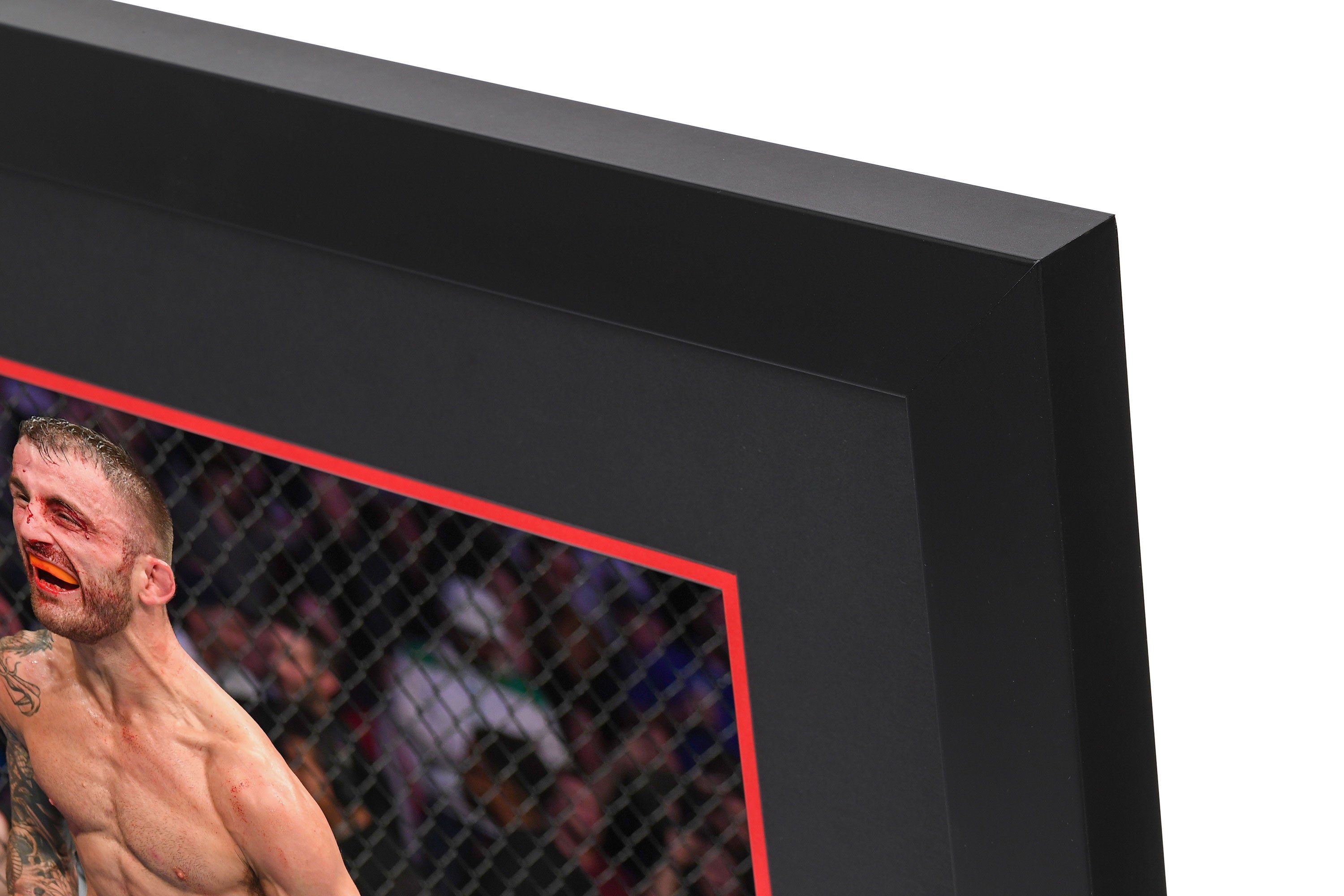 UFC 232: Jones vs Gustafsson 2 Canvas & Photo - Alexander Volkanovski