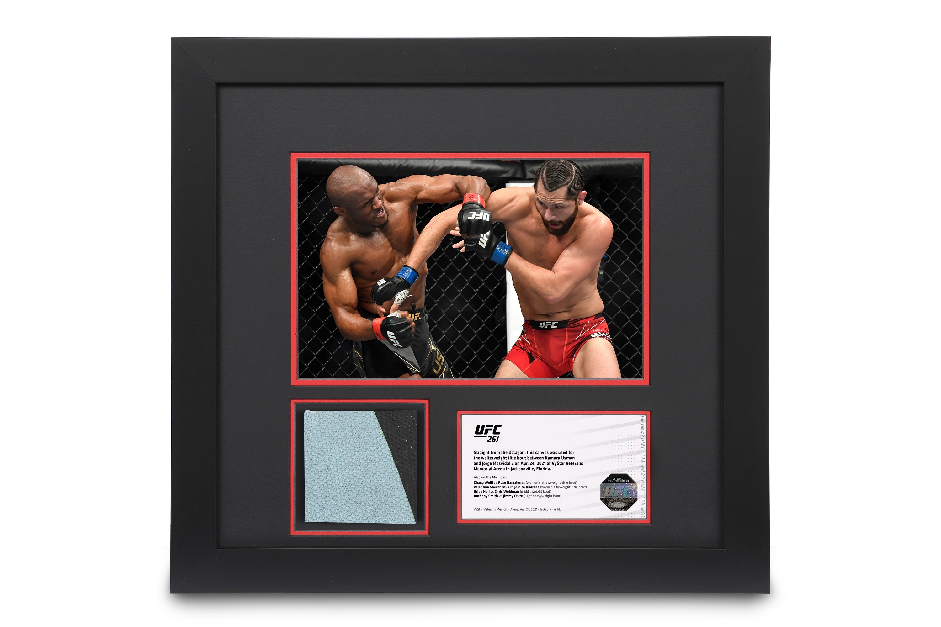UFC 261: Usman vs Masvidal 2 Canvas & Photo