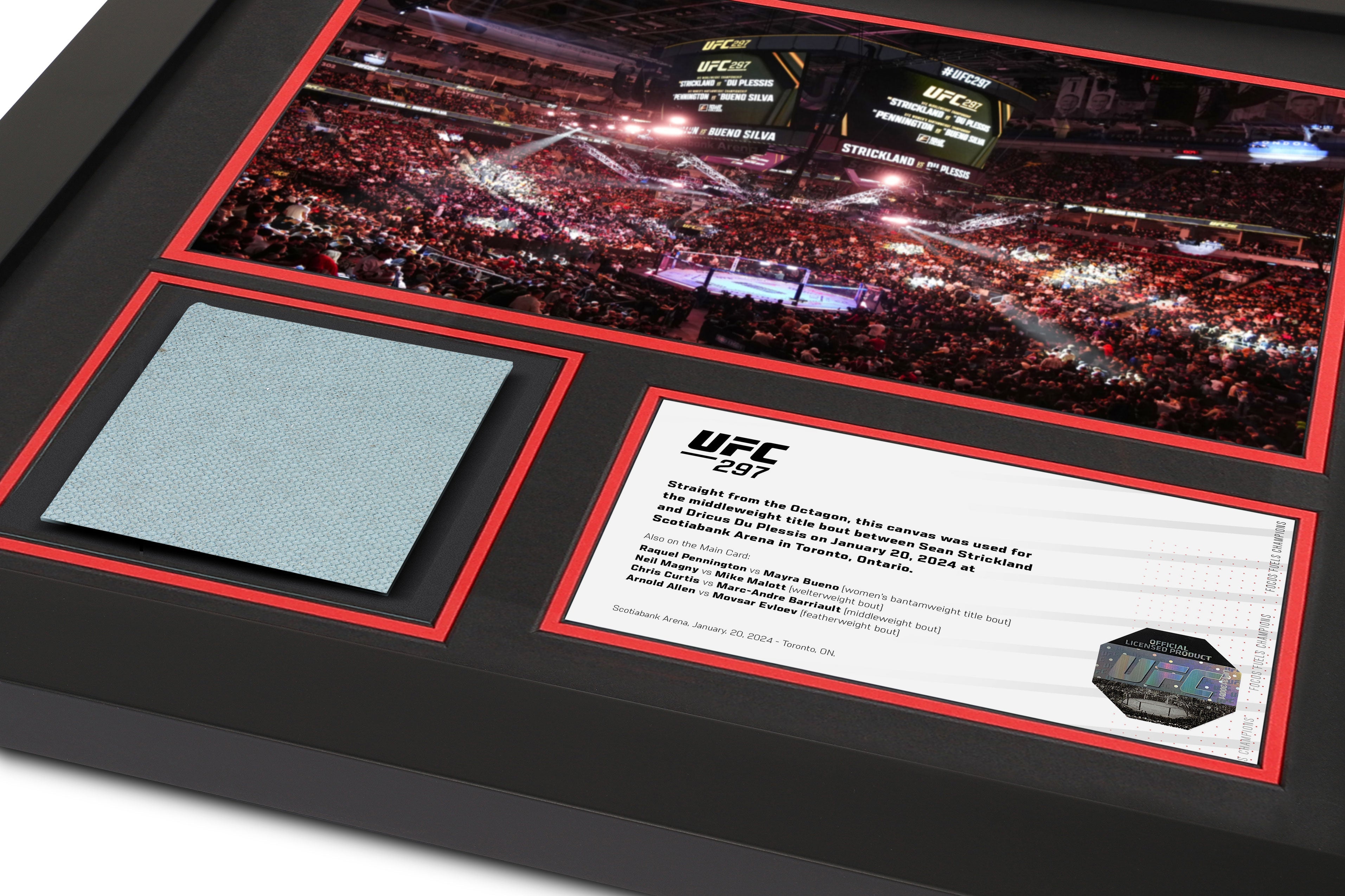 UFC 297: Strickland vs du Plessis Event Canvas & Photo - Octagon