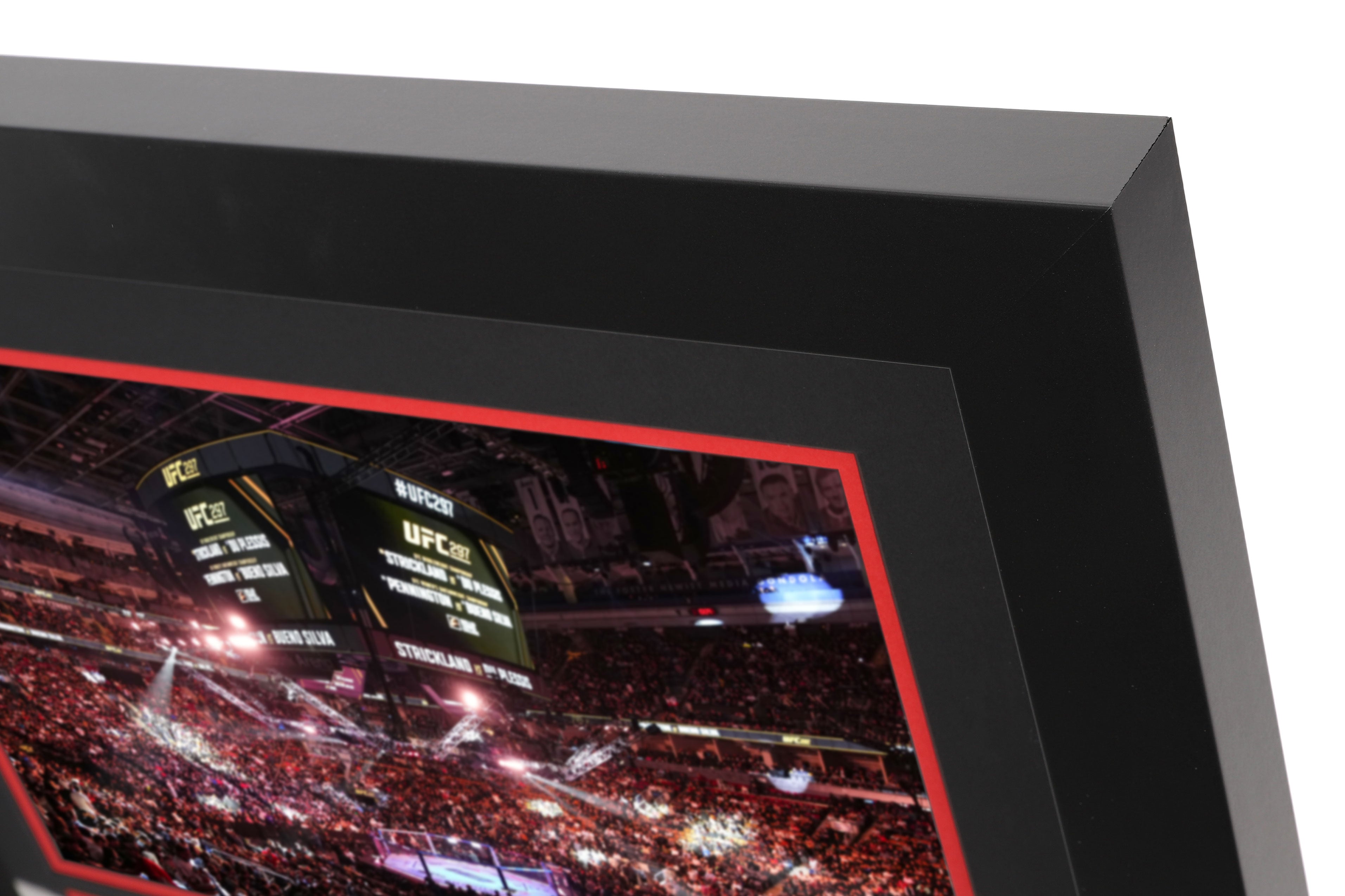 UFC 297: Strickland vs du Plessis Event Canvas & Photo - Octagon