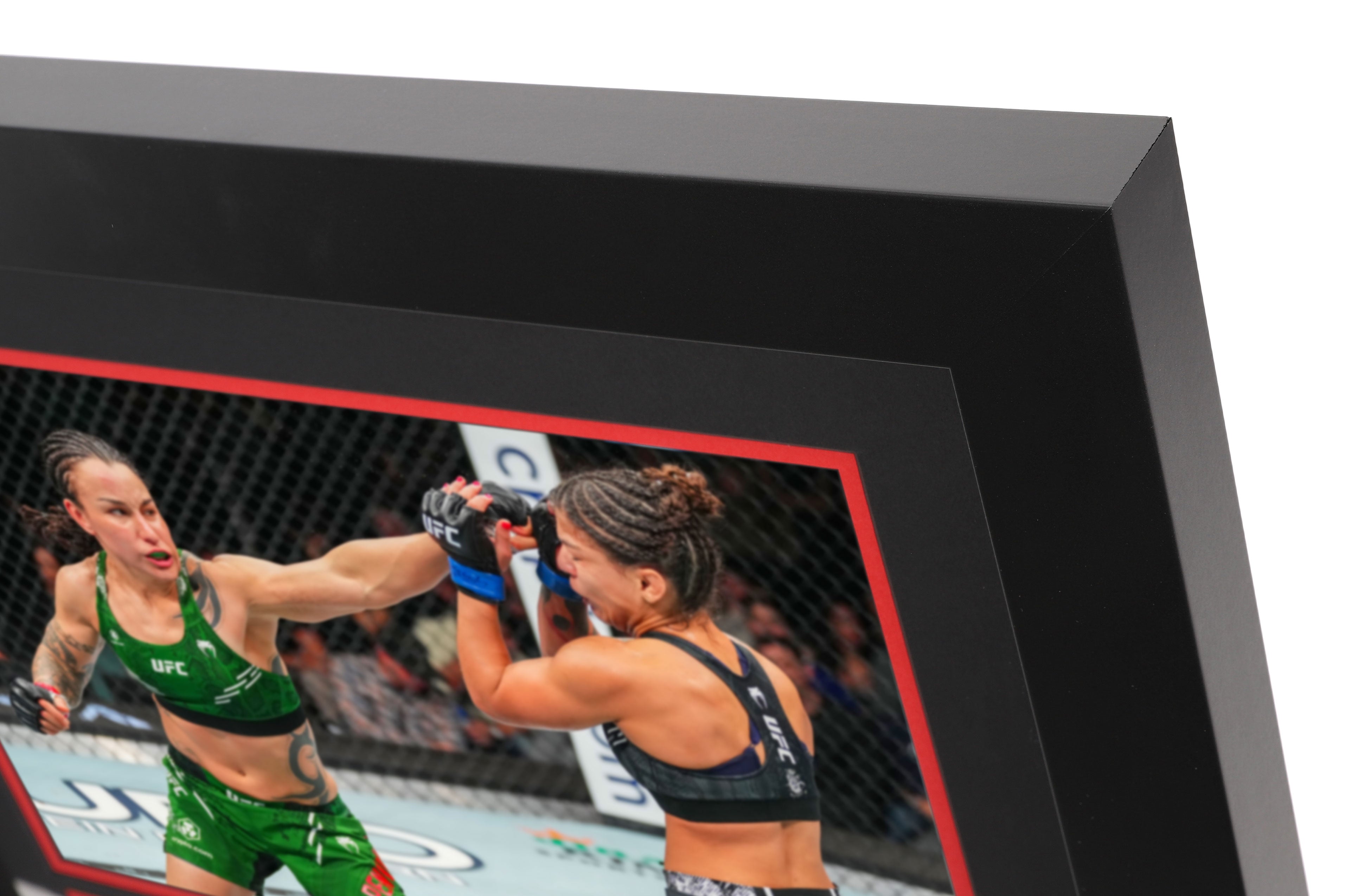 UFC 297: Pennington vs Bueno Silva Event Canvas & Photo