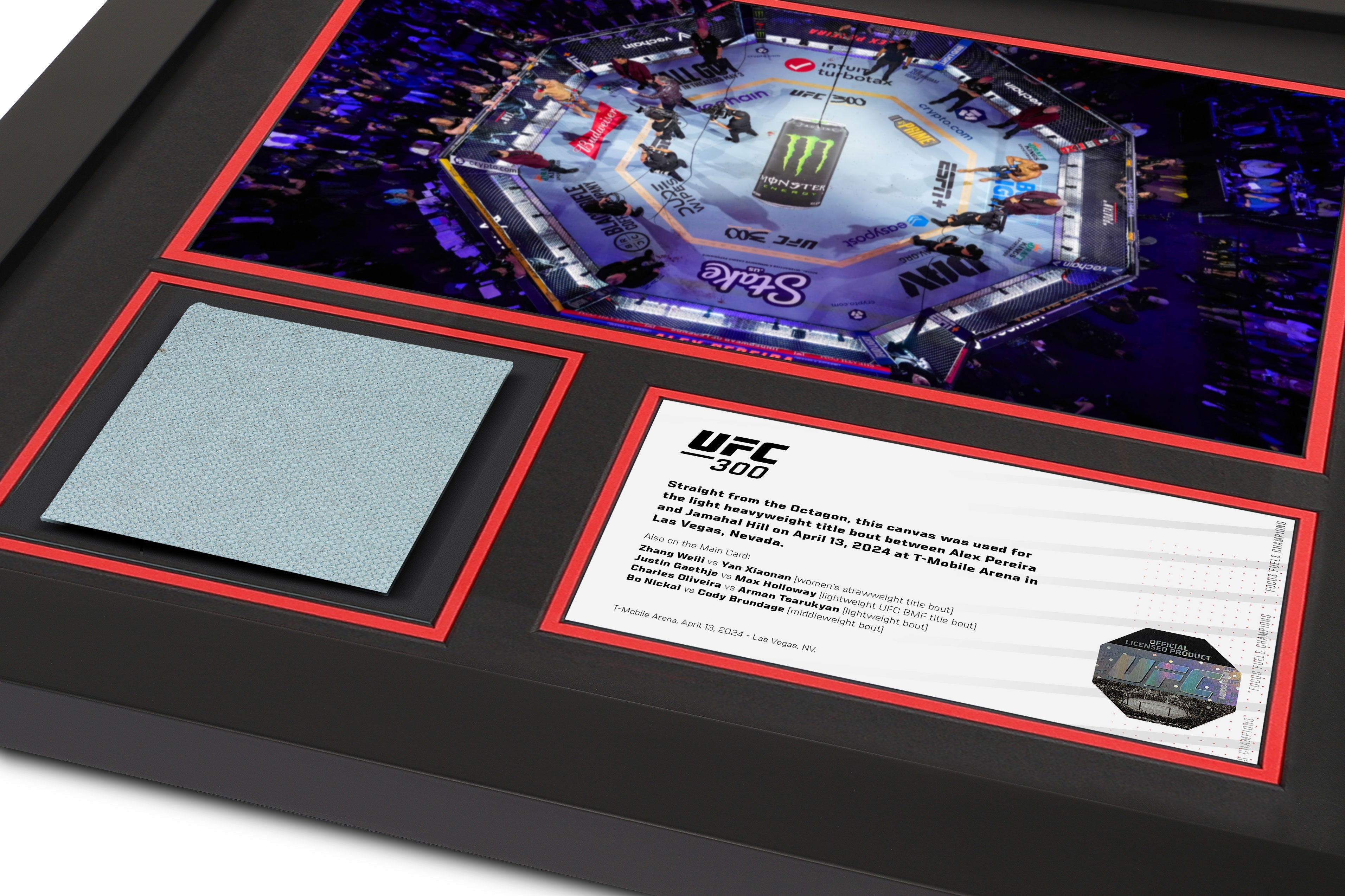UFC 300: Pereira vs Hill Event Canvas & Photo - Octagon