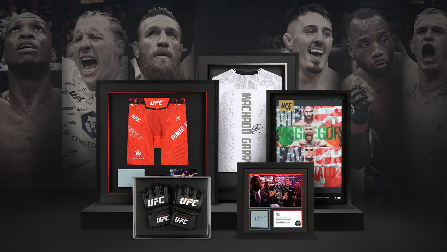 Born for the Octagon: The Best  British & Irish Fighters
