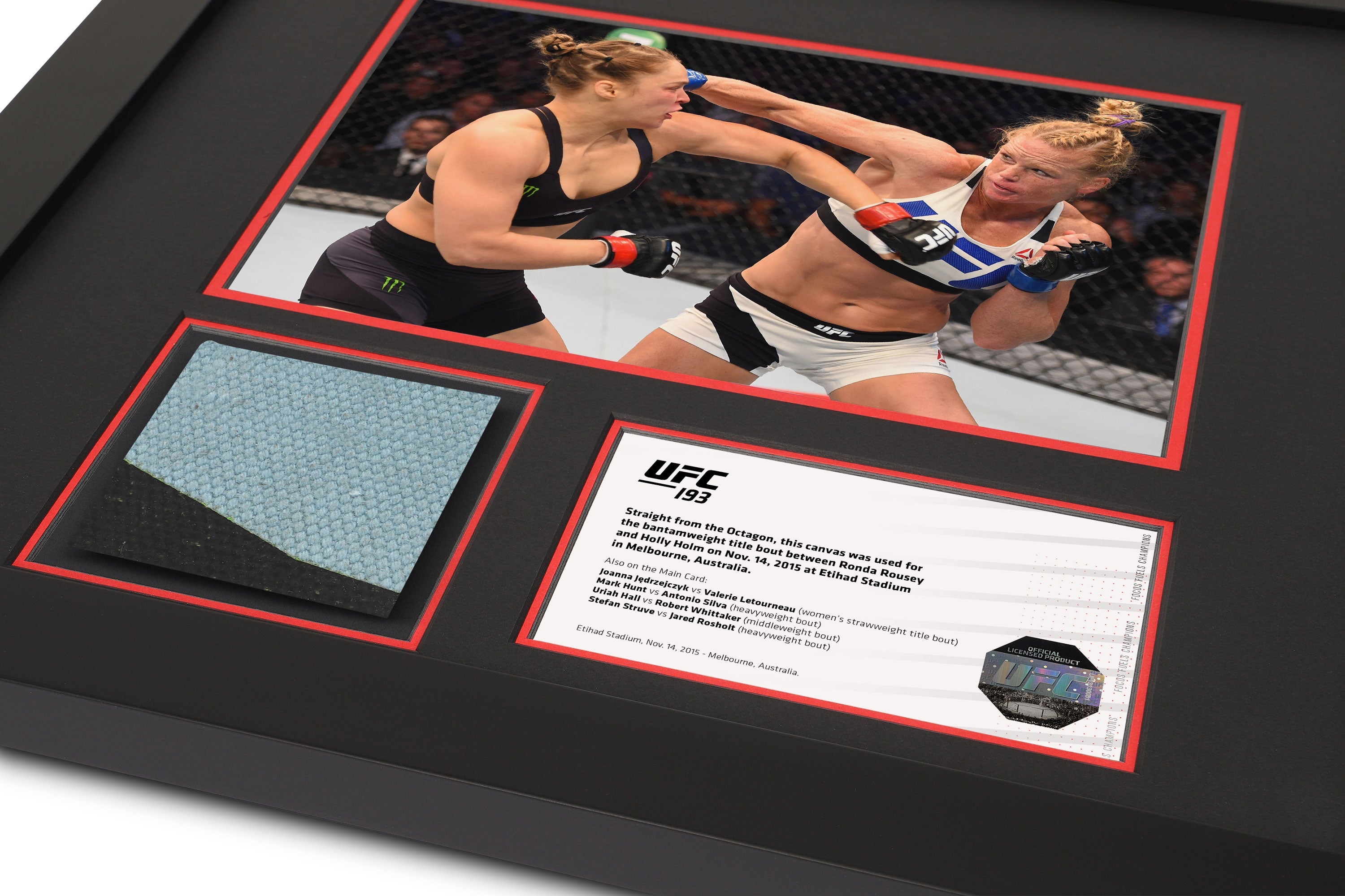 UFC 193: Rousey vs Holm Canvas & Photo