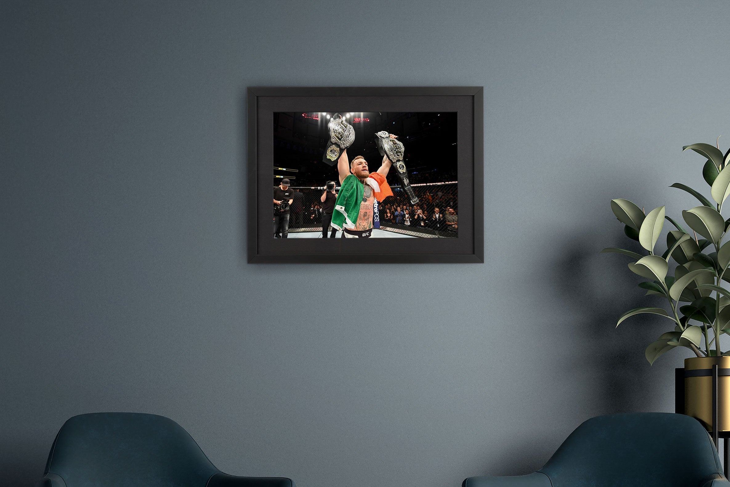 Conor McGregor Framed Photo UFC 205: Alvarez vs McGregor