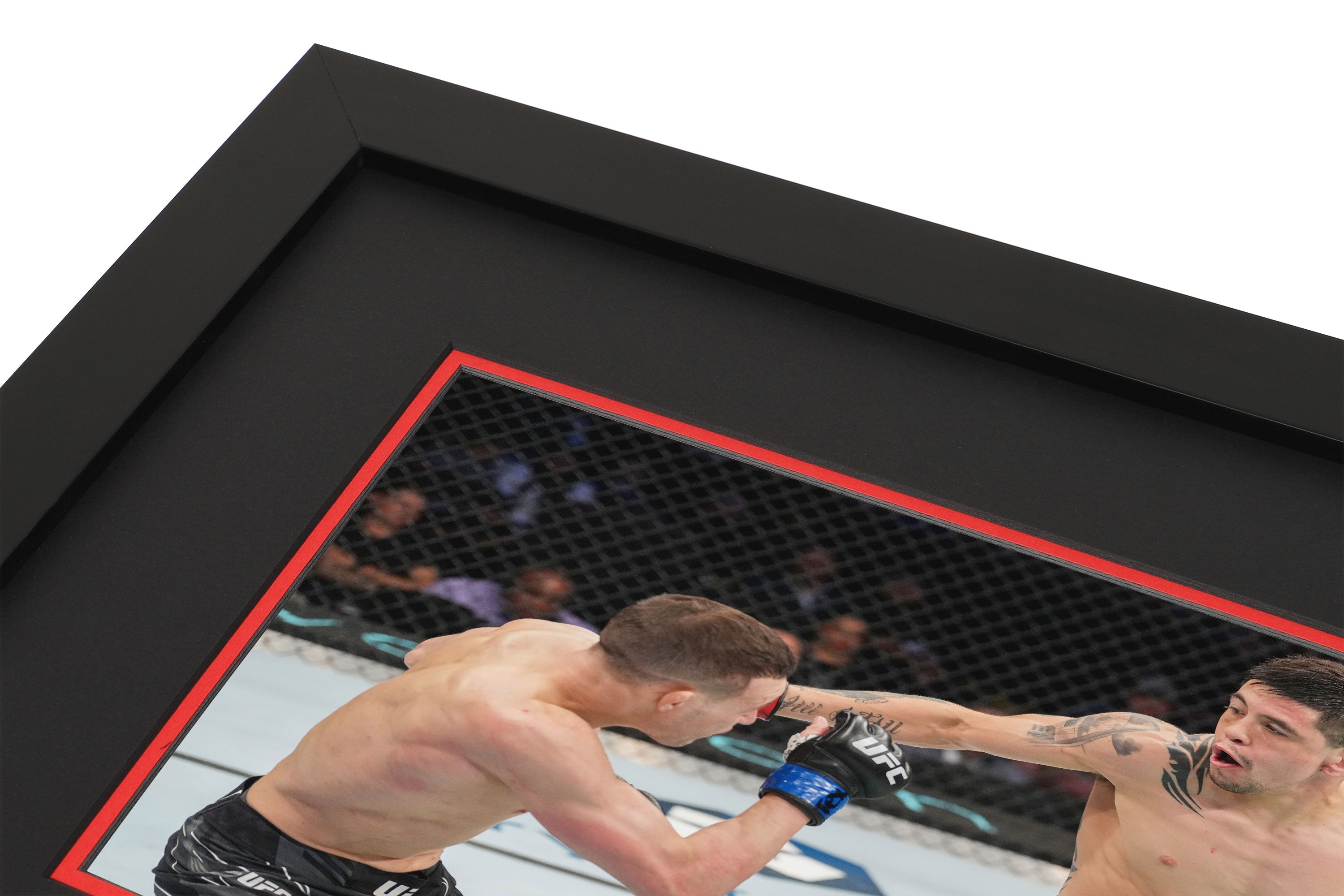 UFC Memorabillia