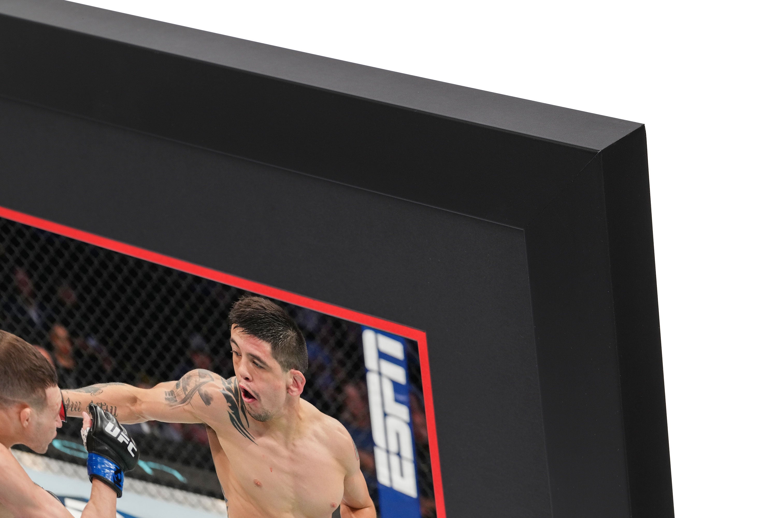 Moreno vs Kara-France canvas and photo