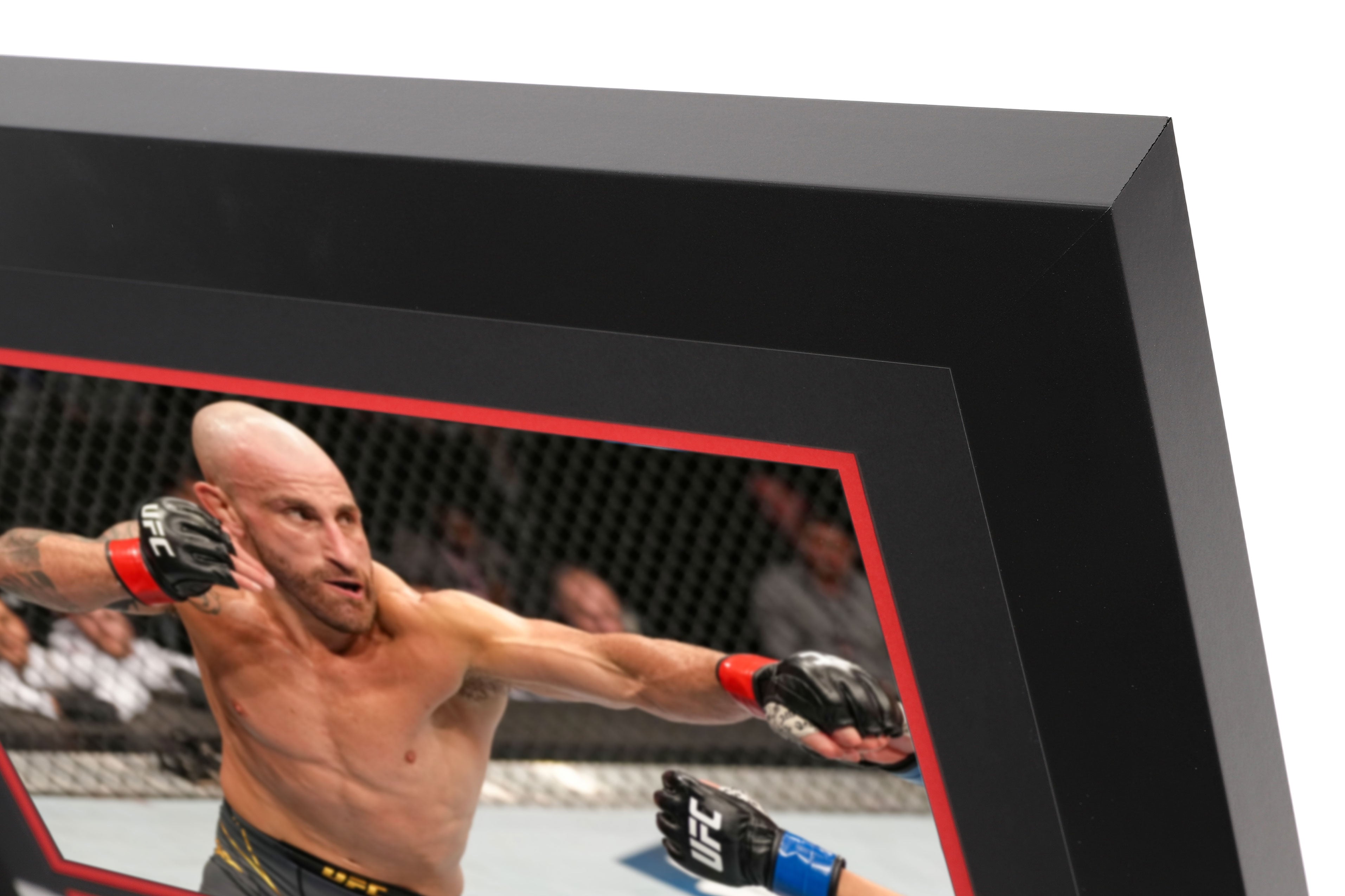 Alexander Volkanovski UFC 273 Signed Canvas & Photo