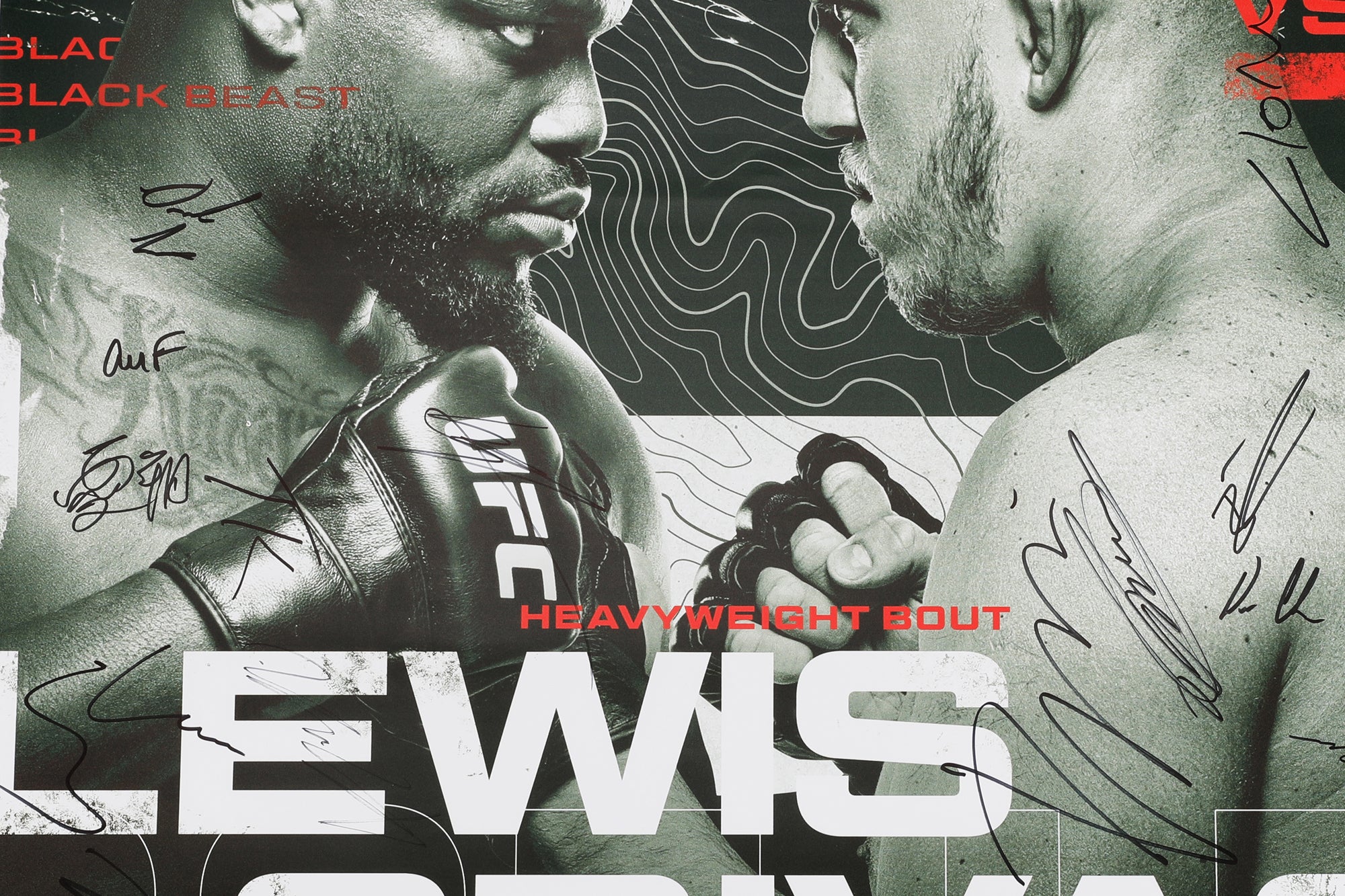 UFC Fight Night: Lewis vs Spivac Autographed Event Poster