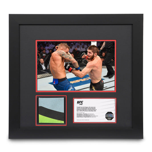 UFC 242: Khabib vs Poirier Canvas & Photo