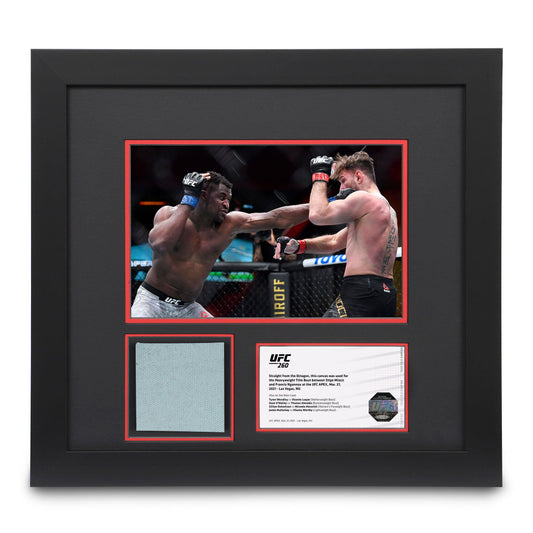 Canvas & Photo from the Ngannou vs McGregor UFC 260 event 