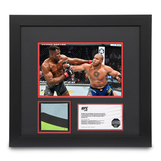 Canvas & Photo from the Ngannou vs Gane UFC 270 event 